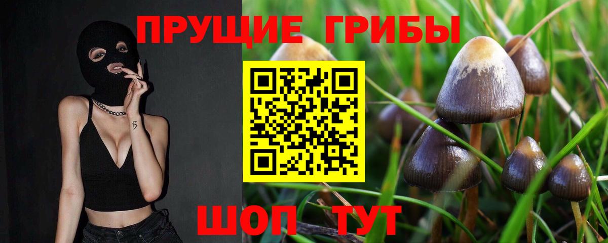Галлюциногенные грибы Magic Shrooms Спасск-Дальний